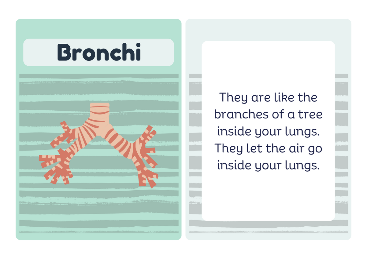 Diaphragm flash card - front and back
