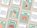 Respiratory system flash cards spread mockup